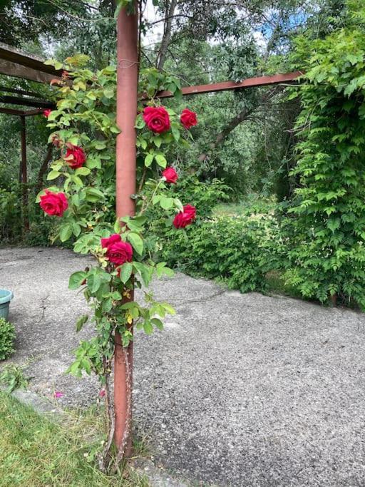 Casa Rural La Fresneda De Tenzuela Segovia Eksteriør billede