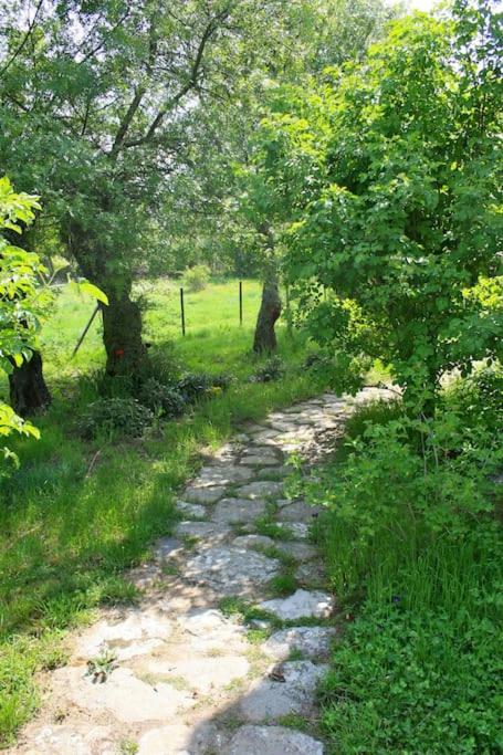 Casa Rural La Fresneda De Tenzuela Segovia Eksteriør billede