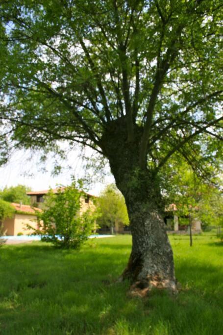 Casa Rural La Fresneda De Tenzuela Segovia Eksteriør billede
