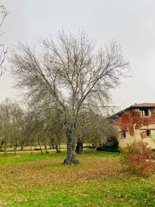 Casa Rural La Fresneda De Tenzuela Segovia Eksteriør billede