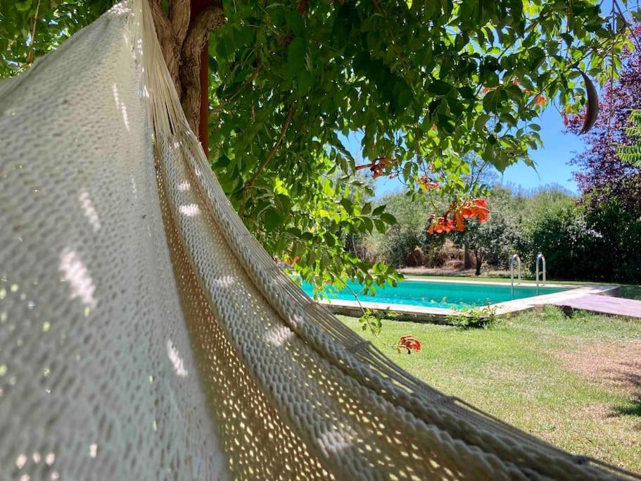 Casa Rural La Fresneda De Tenzuela Segovia Eksteriør billede